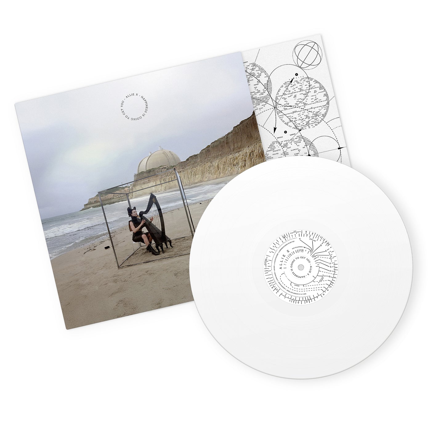 Happiness Is Going To Get You Standard LP